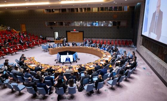 Security Council meets on Syria transition and humanitarian crisis